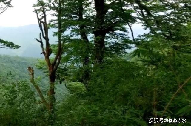 集装箱货运列车拼图